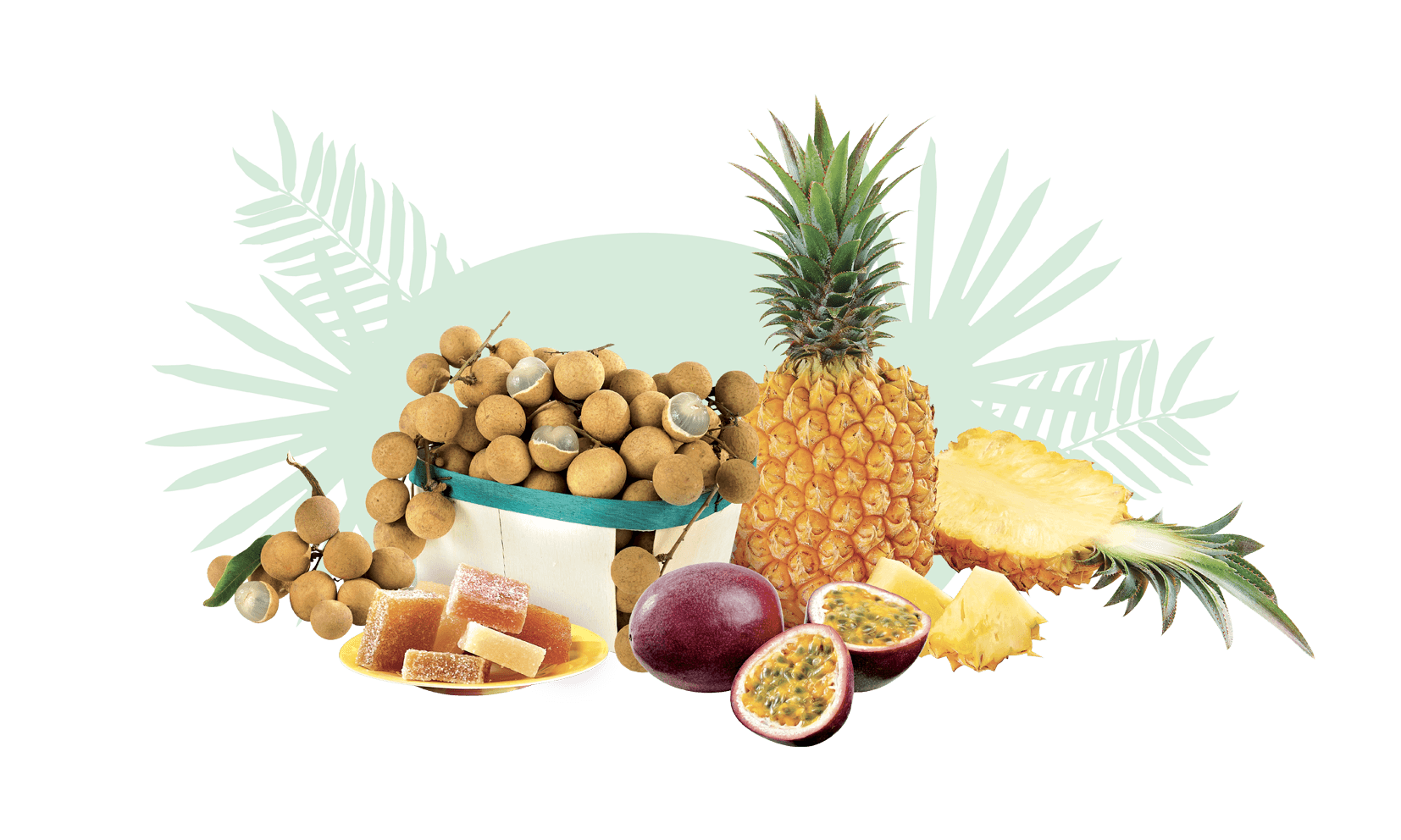 ESSENTIEL FRUITS LONGANIS