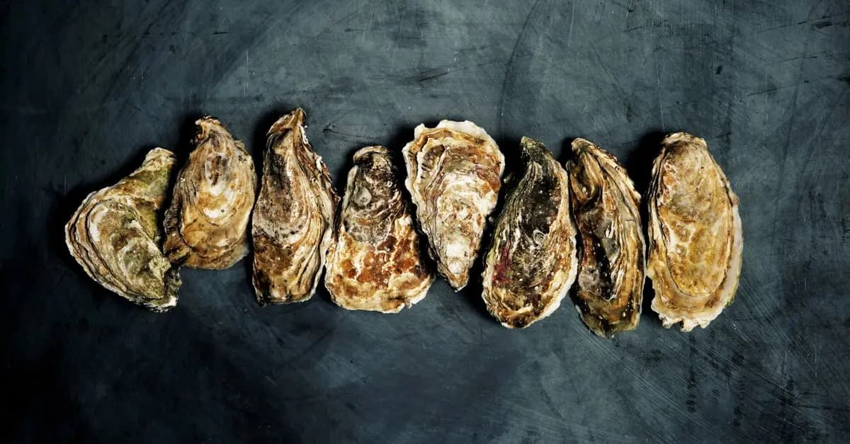 Tout savoir sur les mollusques : variétés et recettes