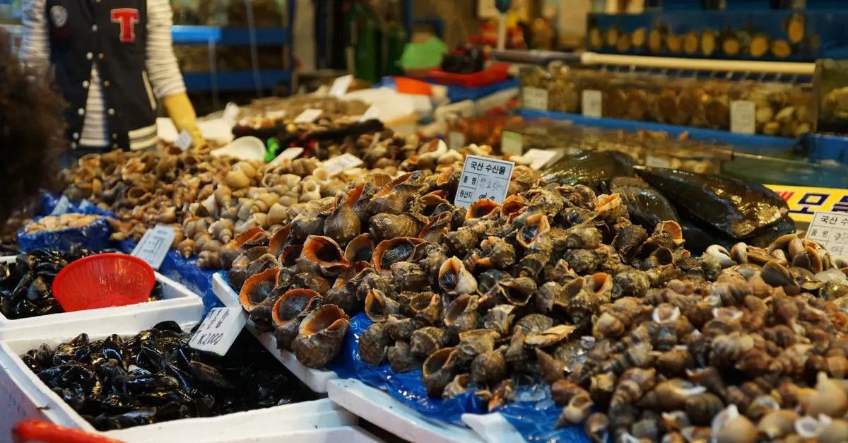 Guide complet pour choisir des moules fraîches