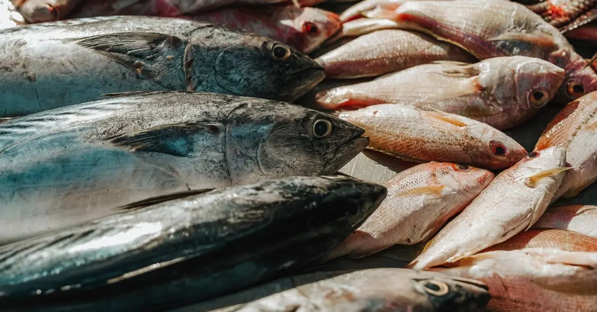 Les Secrets pour Choisir des Fruits de Mer Frais