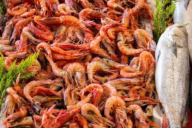 Comment Identifier des Fruits de Mer Frais : Guide Pratique