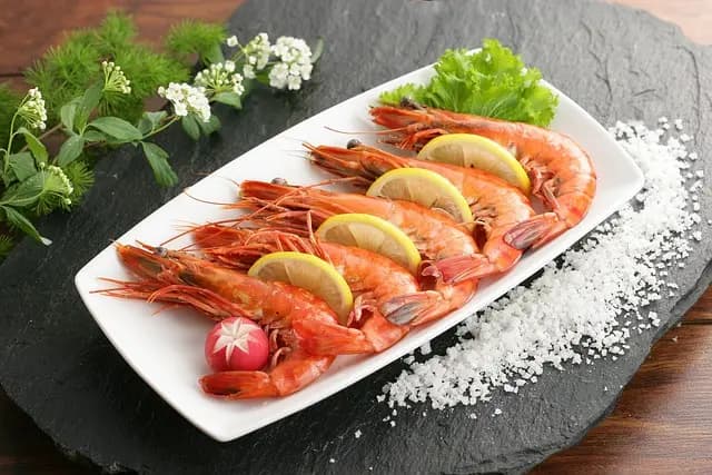 L'Impact Environnemental des Fruits de Mer : Ce Qu'il Faut Savoir