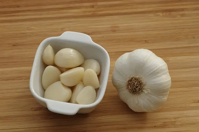 Comment préparer les moules : étapes et astuces essentielles
