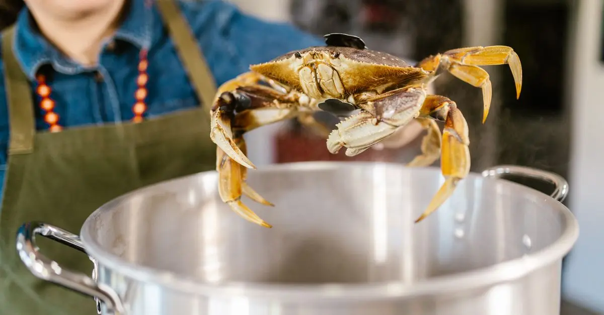 Comment cuisiner des fruits de mer à la vapeur : Guide pratique