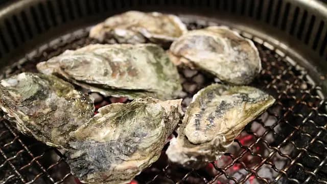 Comment Bien Déguster des Fruits de Mer : 10 Astuces Incontournables