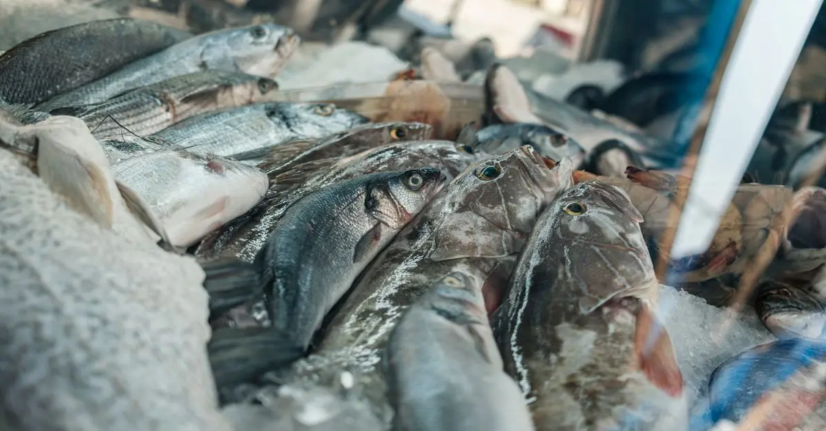 Comment choisir des fruits de mer frais pour vos plats