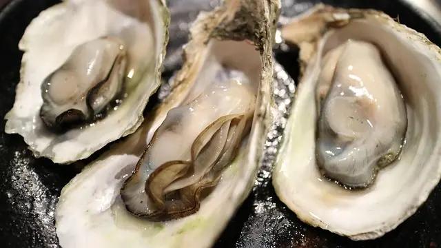 Les meilleurs fruits de mer de saison : quand et comment les déguster