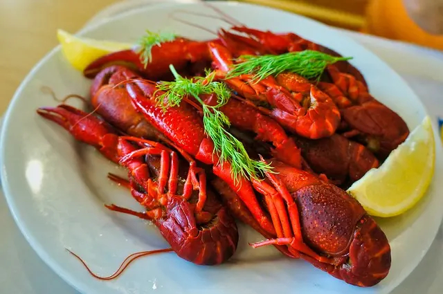 Les Fruits de Mer en 2026 : Tendances et Innovations à Suivre