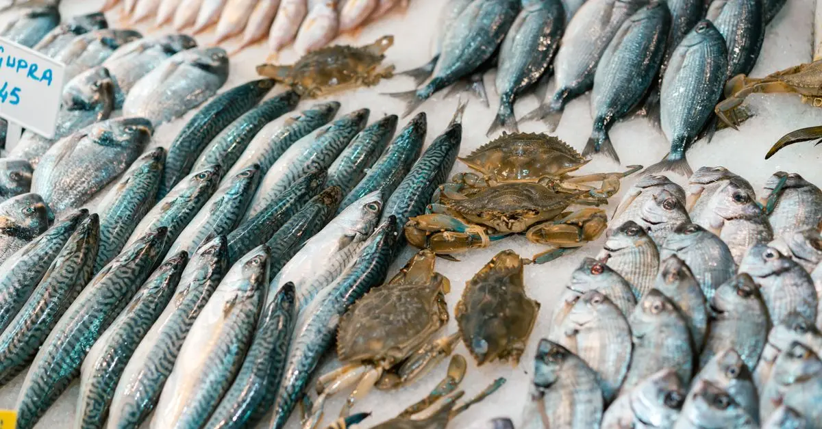 Comment reconnaître les fruits de mer de qualité