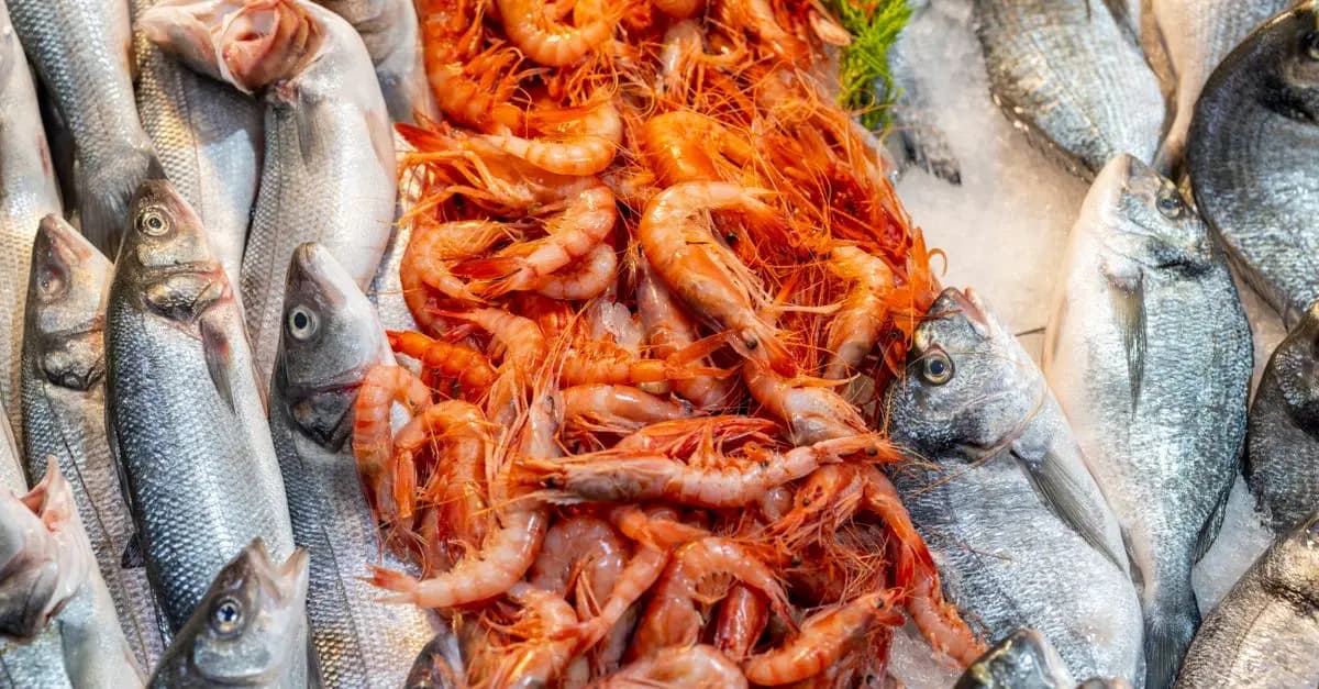 Comment reconnaître des fruits de mer frais : guide pratique