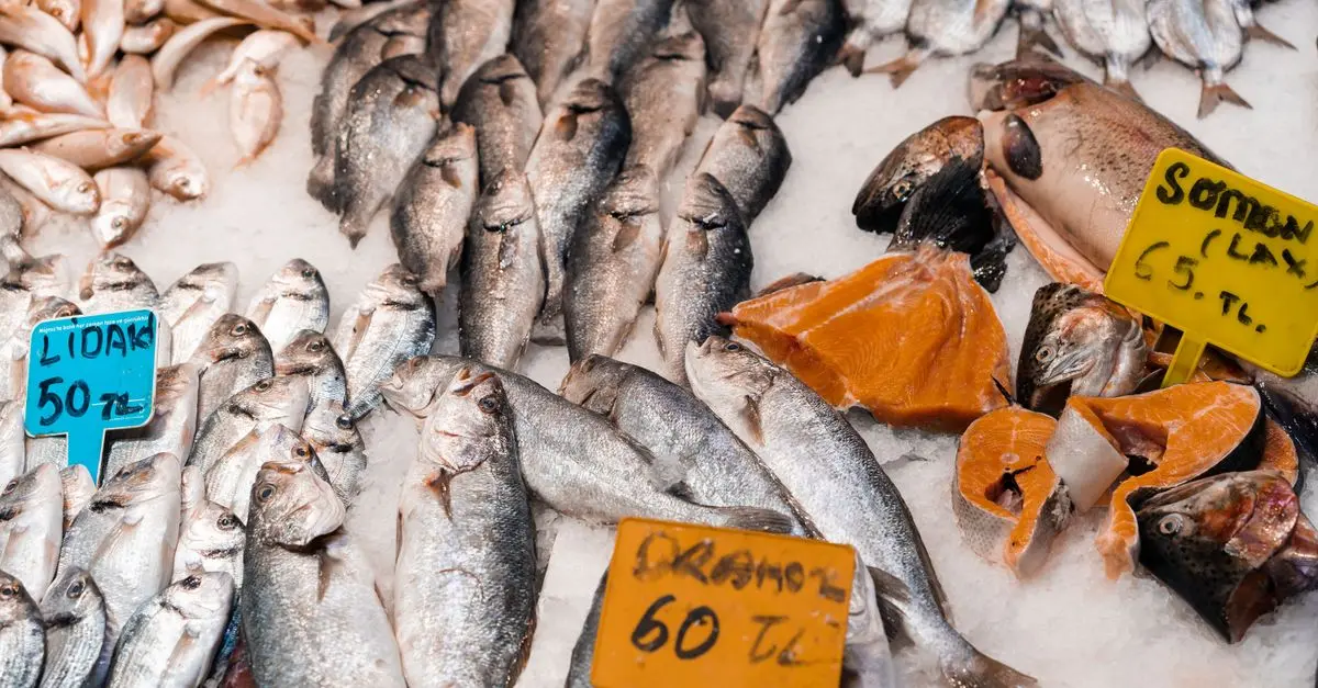 Comment Choisir des Fruits de Mer de Qualité : Guide Pratique
