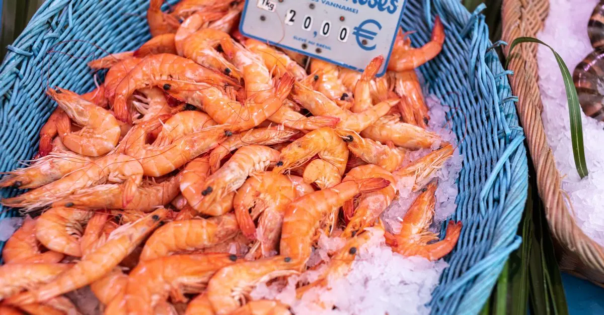 Comment bien choisir vos fruits de mer au marché