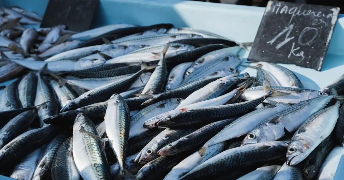 Le Guide Complet des Fruits de Mer Écologiques