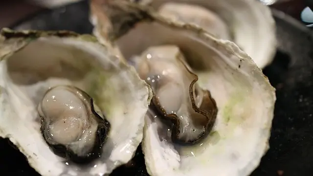 Top 10 des Fruits de Mer Incontournables à Déguster