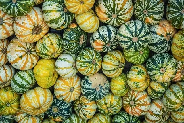 Les fruits de mer en toute saison : Quelles variétés choisir ?