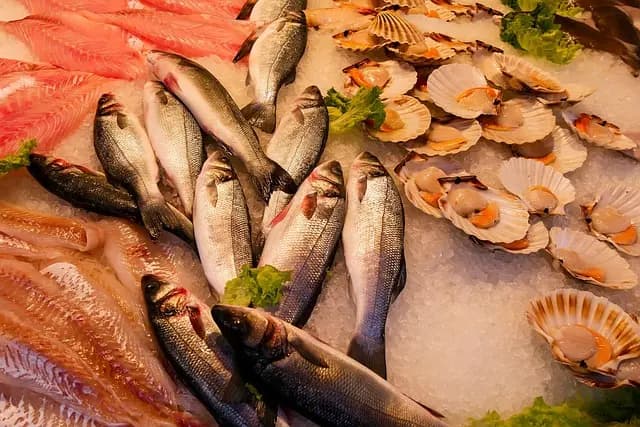 Choisir les Meilleurs Fruits de Mer pour Vos Recettes