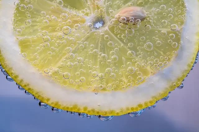 5 Méthodes Indispensables pour Préparer Parfaitement des Fruits de Mer