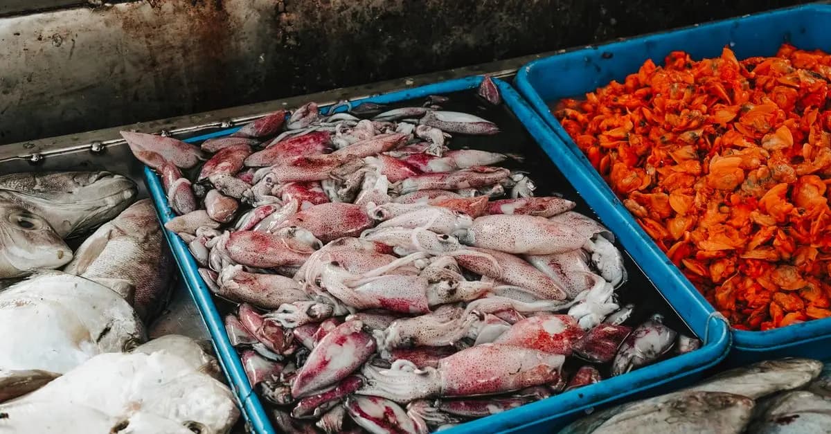 Comment reconnaître des fruits de mer frais : Guide pratique