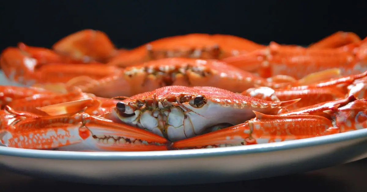 Plats de fruits de mer pour les régimes faibles en calories