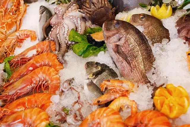 Les Bienfaits des Fruits de Mer sur votre Santé
