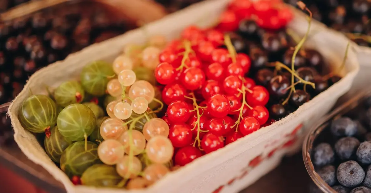 Tout savoir sur les fruits de mer : variétés et bienfaits