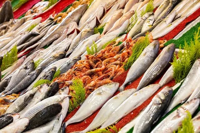 Les Meilleures Astuces pour Choisir des Fruits de Mer Frais