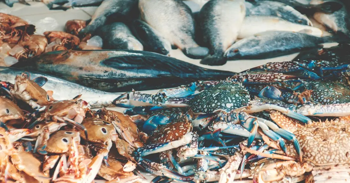 Guide pratique pour choisir des fruits de mer frais