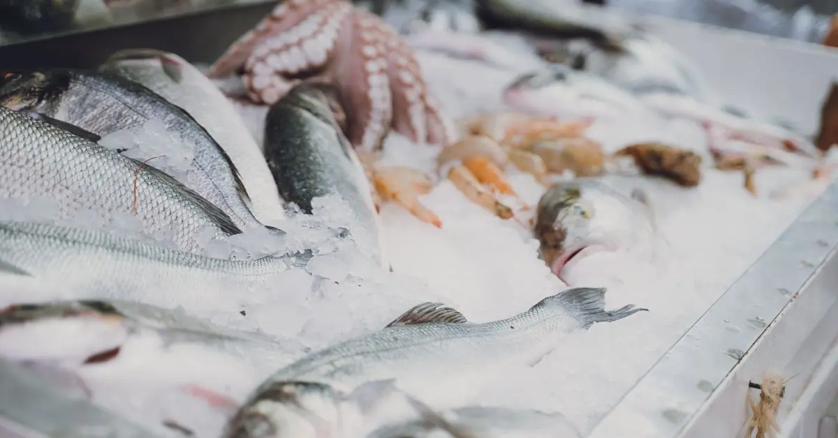 Comment bien choisir des fruits de mer frais : Guide complet