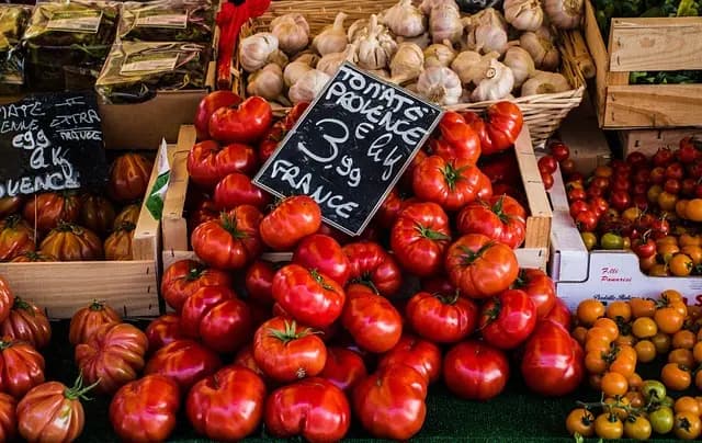 Comment Bien Choisir des Fruits de Mer au Marché : Guide Pratique