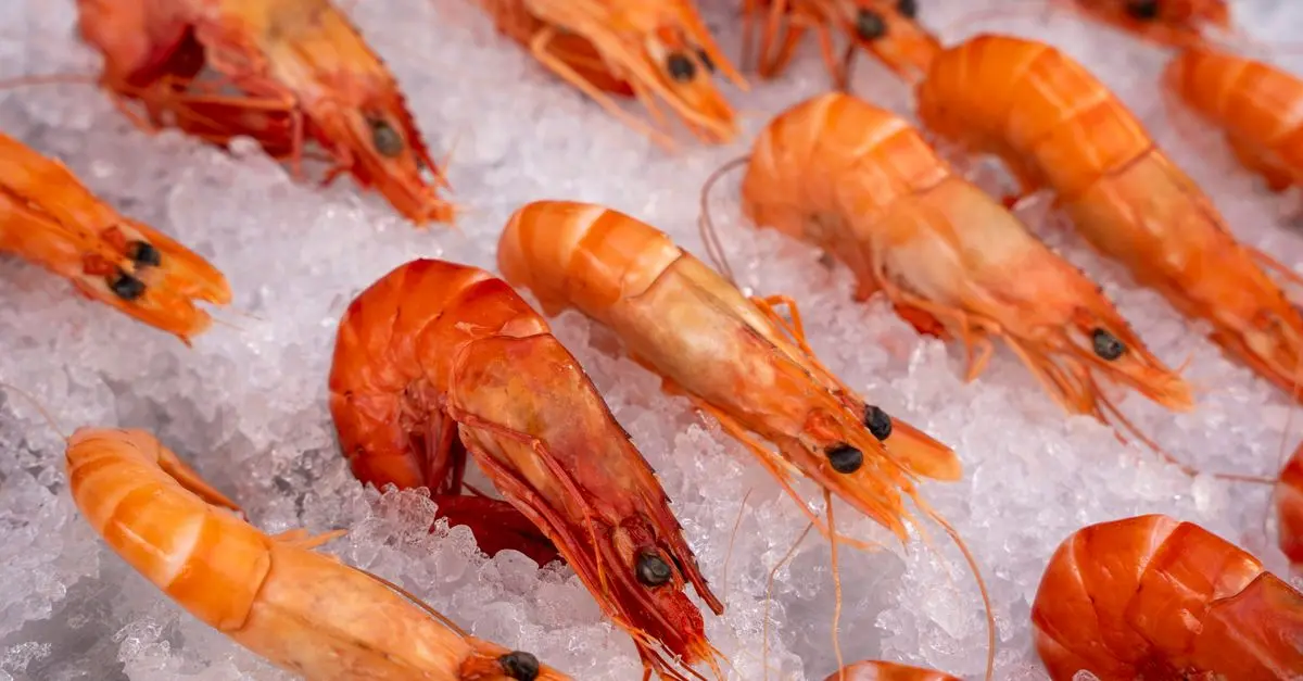 Comment choisir des fruits de mer frais : guide complet