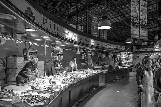 Les Meilleures Façons de Choisir des Fruits de Mer Frais