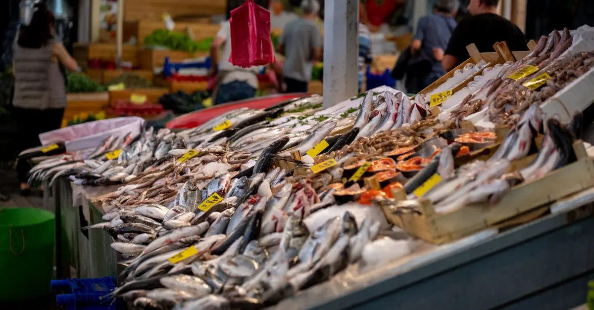 Guide Complet pour Choisir des Fruits de Mer Frais