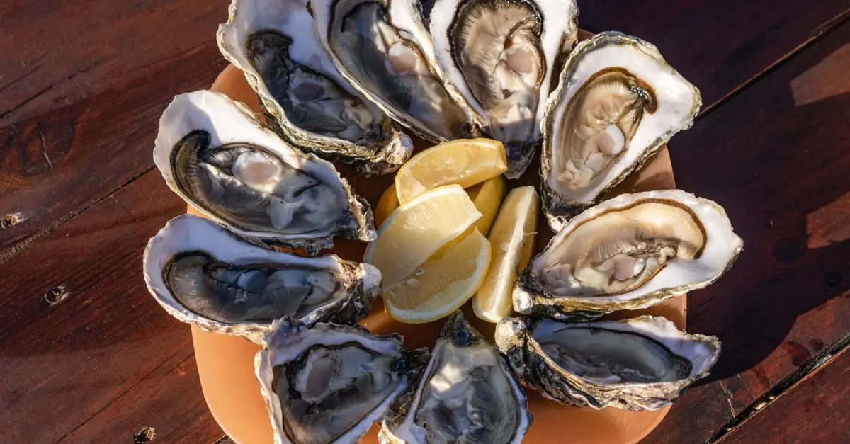 Guide complet des coquillages : choix et préparation parfaite