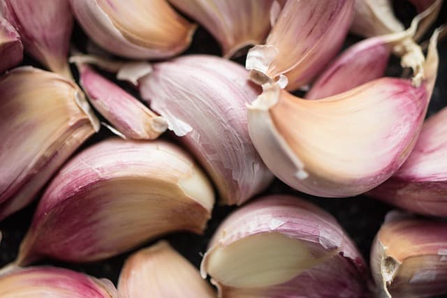 Comment préparer des moules : étapes et astuces essentielles