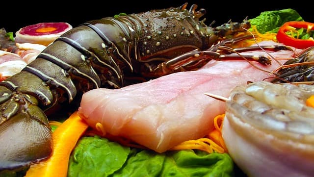 Guide des Fruits de Mer : Variétés, Préparation et Dégustation