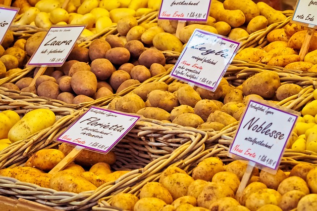 Comment choisir des fruits de mer frais : guide pratique