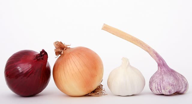 Les Meilleures Méthodes de Préparation des Fruits de Mer