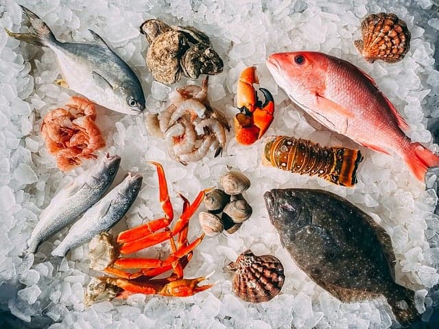 10 Questions Fréquemment Posées sur les Fruits de Mer