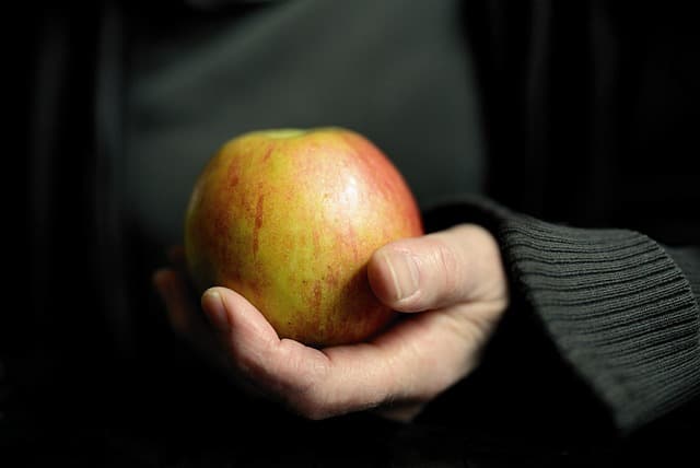 Fruits de Mer : Comment les Manger et les Déguster en 2026