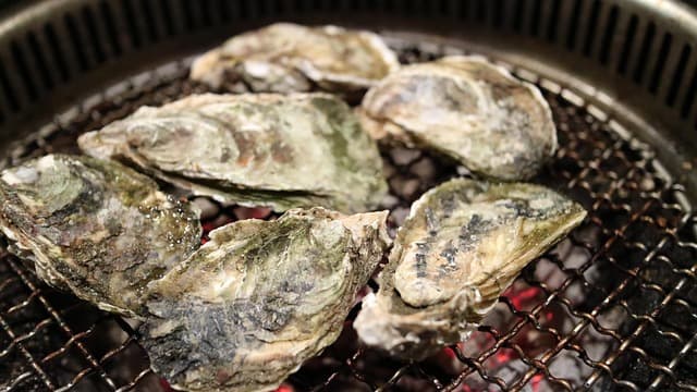 Guide complet des fruits de mer : choix et préparation