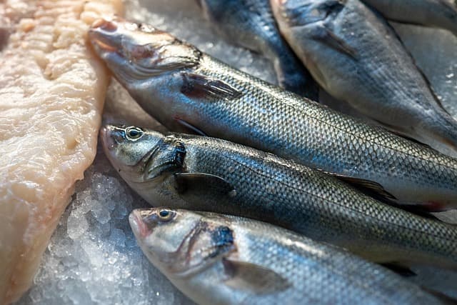 Comment Reconnaître des Fruits de Mer Frais : Guide Pratique